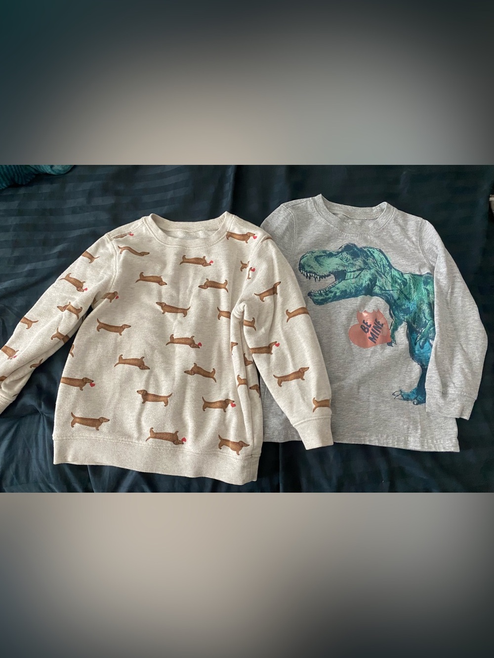 Boys Valentine’s 4T Shirts - Dog heart Sweatshirt & T-Rex Long Sleeve